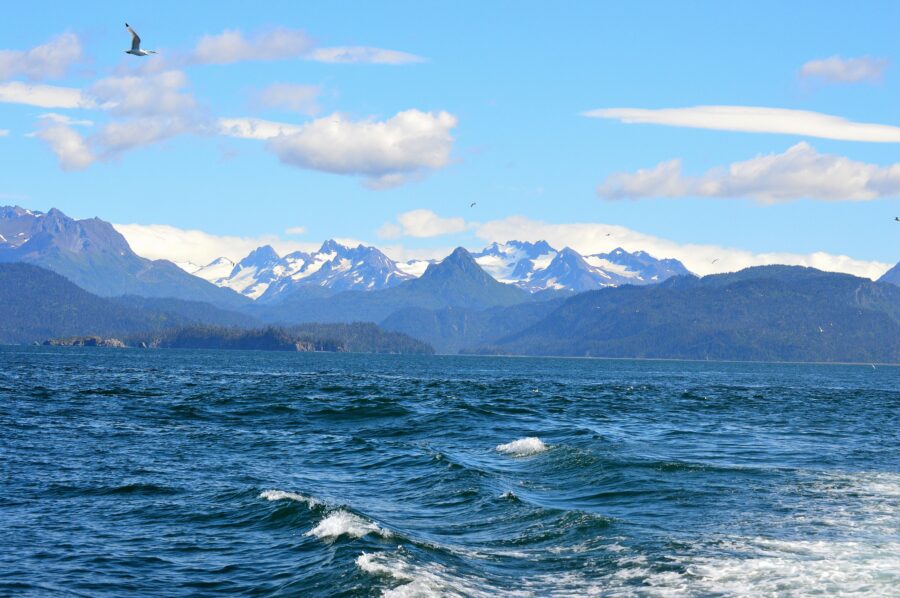 HIGH TIDE   by   Larry W. Peebles